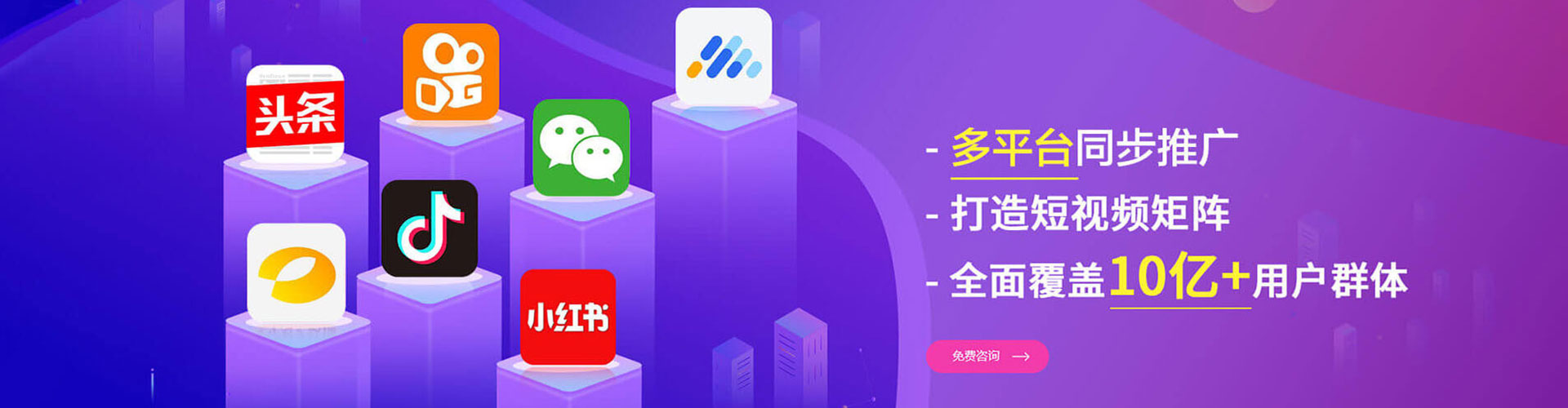树林信息流推广